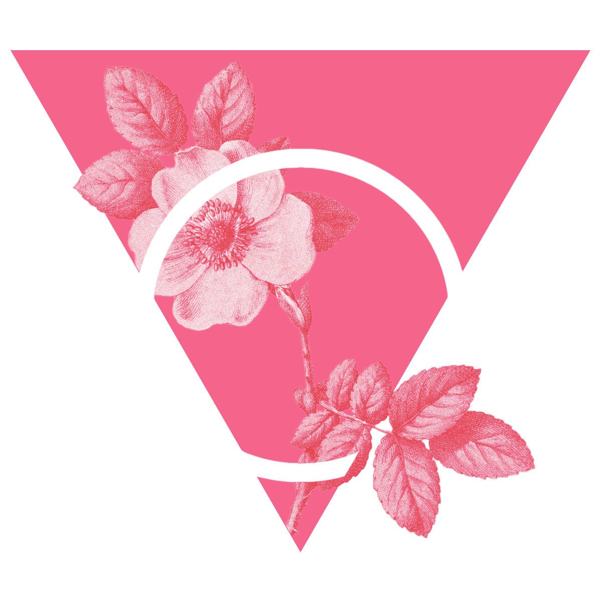 The krirogn rose in triangle logo